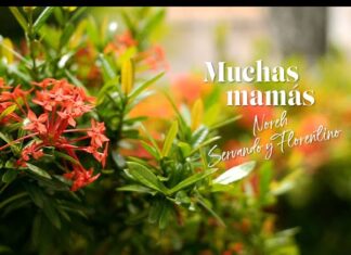 Noreh y Servando y Florentino estrenan video de “Muchas mamás”